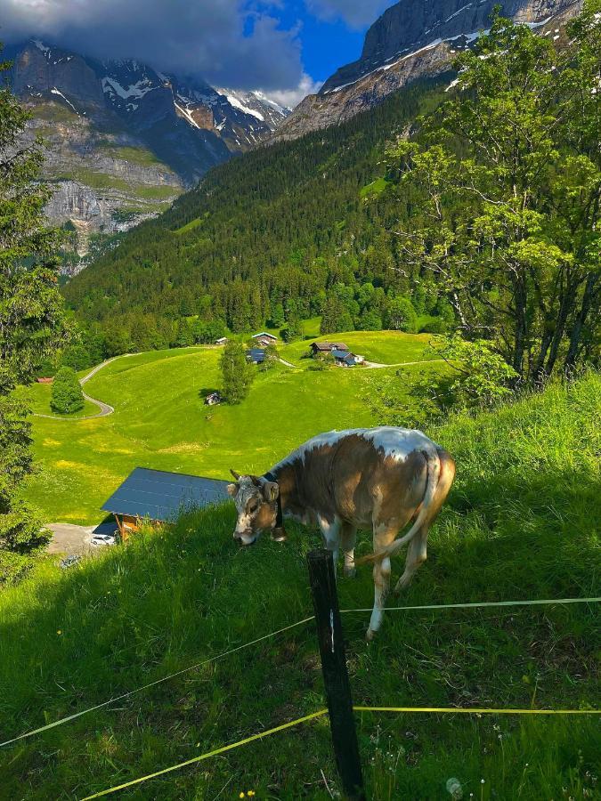 Romantisches Plaetzchen In Der Natur Grindelwald Exterior foto